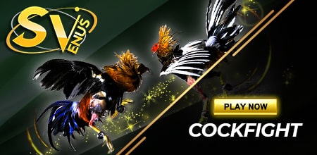 Default Mini Banner Right